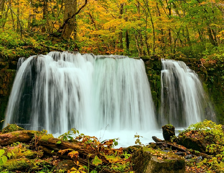 【日本好久不見】東北秋楓情~奧入瀨溪、武家屋敷、中尊寺、嚴美溪、溫泉4天